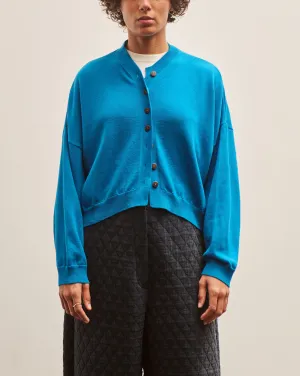 Cordera Merino Wool Cardigan, Cerúleo